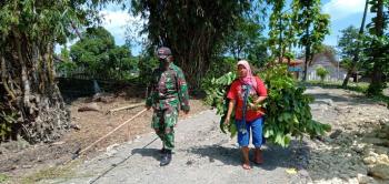 Anggota Satgas TMMD 110 Bojonegoro Bantu Cari Bahan Makanan Ternak